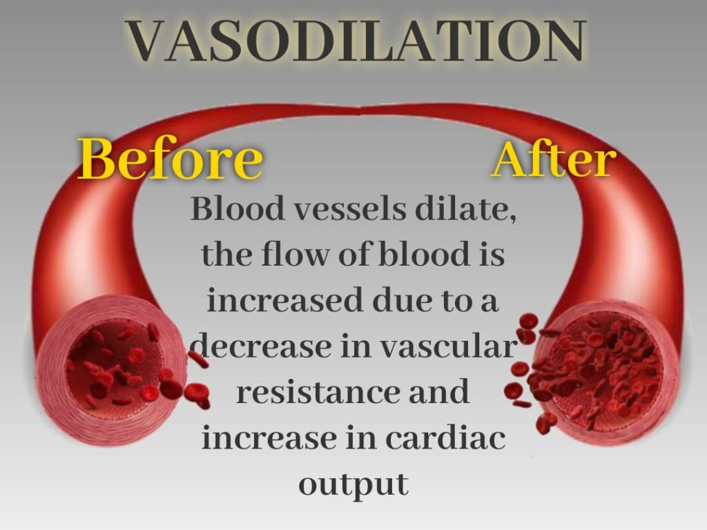 “What is VASO6, and why is it worth using in supplementation for athletes?”
