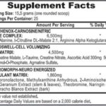 APS Mesomorph 2020 388g DMHA V4