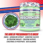 Eng pm APS Mesomorph 2020 388g DMHA V4