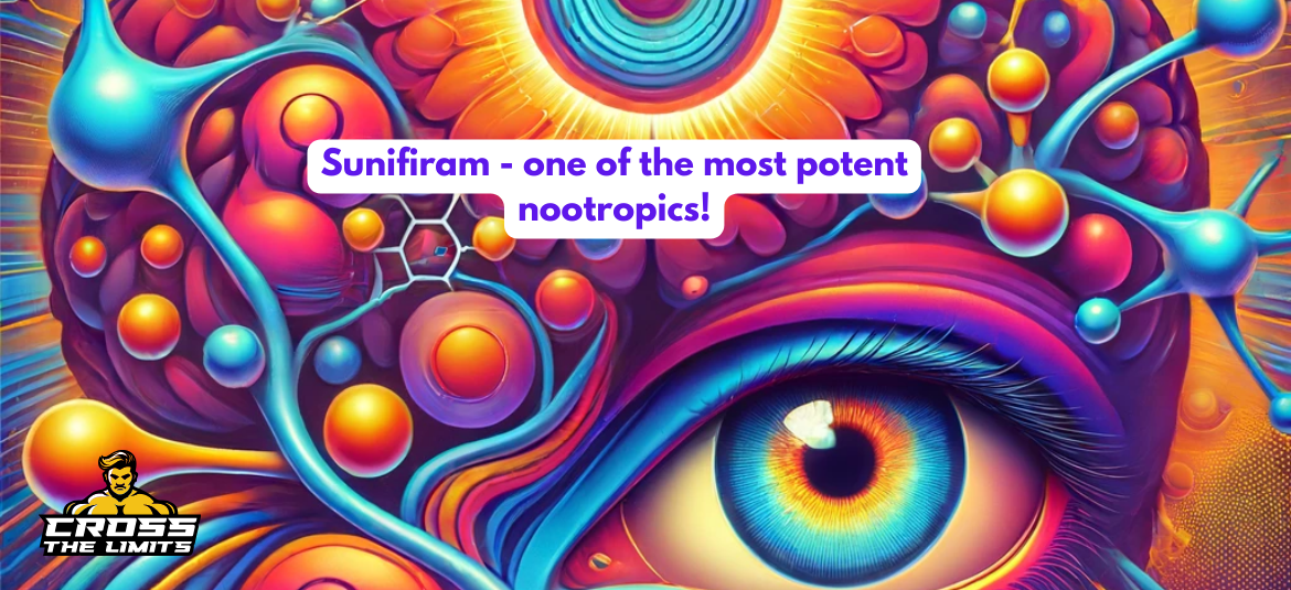Sunifiram - one of the most potent nootropics!