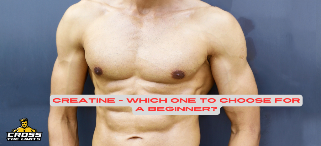 Creatine – which one to choose for a beginner?