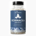 blue.echinecea
