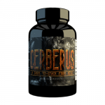 I.S.Cerberus.crossthelimits.co .uk