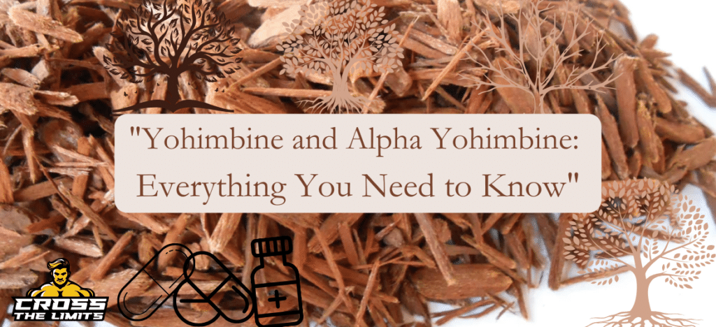 “Yohimbine and Alpha Yohimbine: Everything You Need to Know”