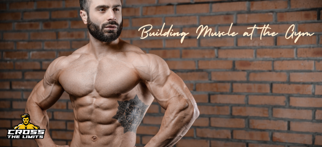 The Ultimate Guide to Building Muscle at the Gym