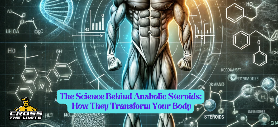 The Science Behind Anabolic Steroids: How They Transform Your Body