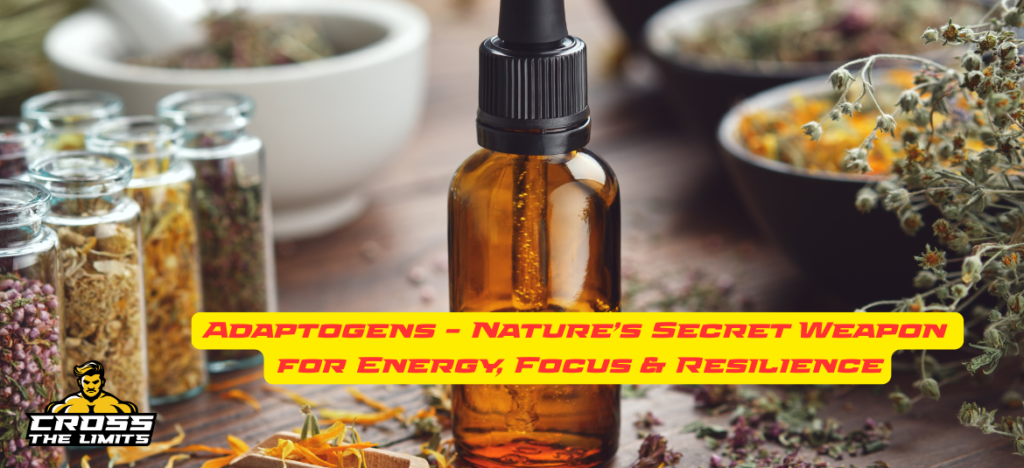 Adaptogens – Nature’s Secret Weapon for Energy, Focus & Resilience