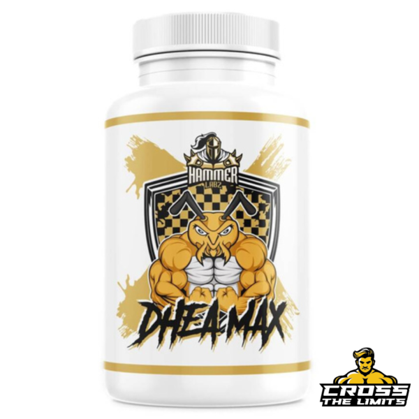 Hammer Labz DHEA Max supplement bottle with bold logo featuring muscular hornet