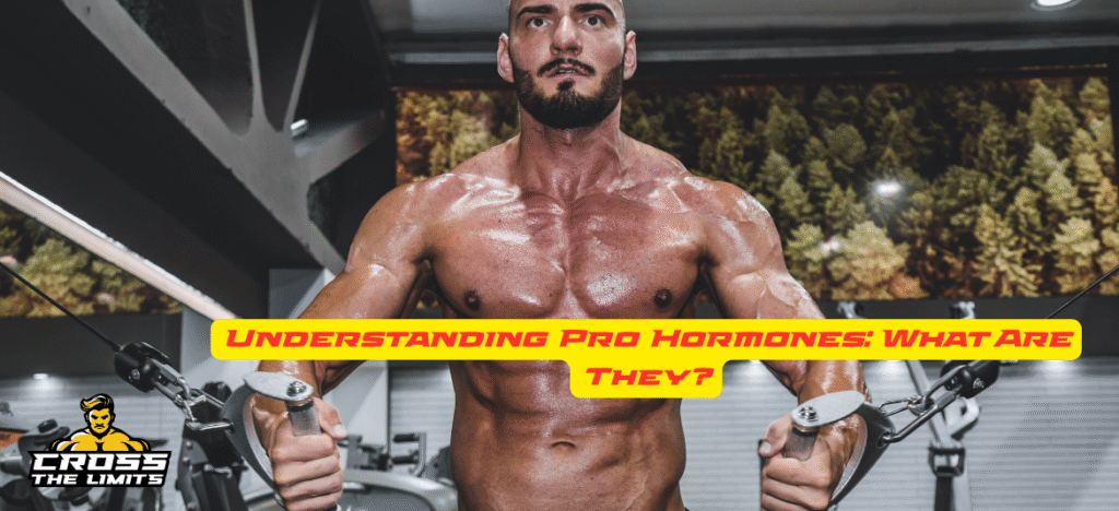 Understanding Pro Hormones: What Are They?
