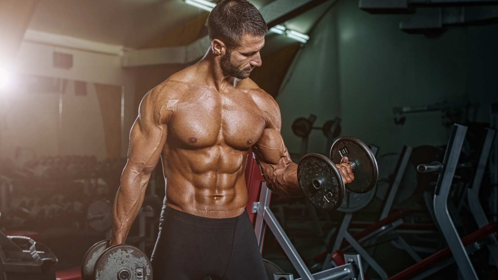 Zestawienie najlepszych suplementów na budowę masy mięśniowej w sklepie CrossTheLimits