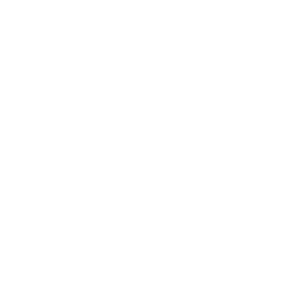 Skull Labs