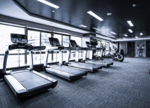 Modern commercial gym with a row of treadmills, bright natural light, and professional cardio training equipment for fitness enthusiasts.