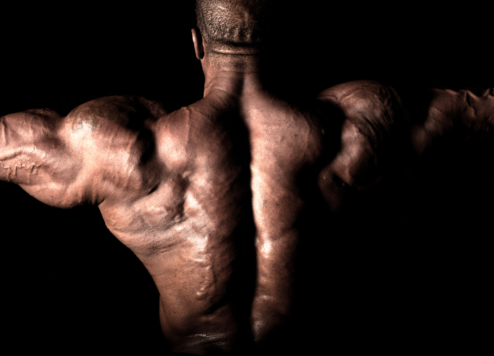 Strongest Prohormones 2026: M1T, Superdrol, DMZ, Halodrol & Epistane Ranked