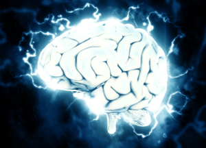 Semax vs Selank cognitive enhancement illustration showing brain pathways involved in focus memory productivity and stress resilience